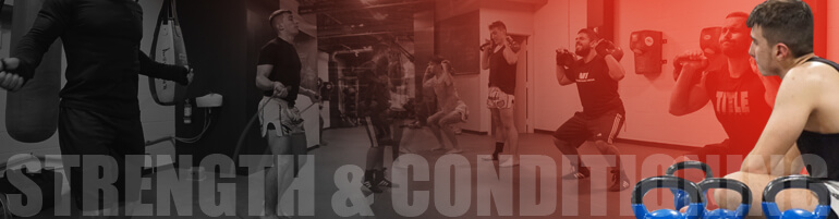 mma strength training mma fitness